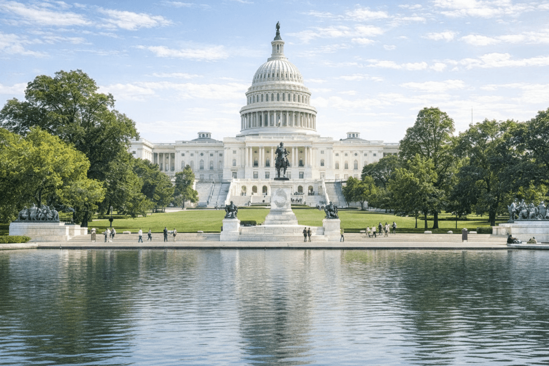 Government Sector